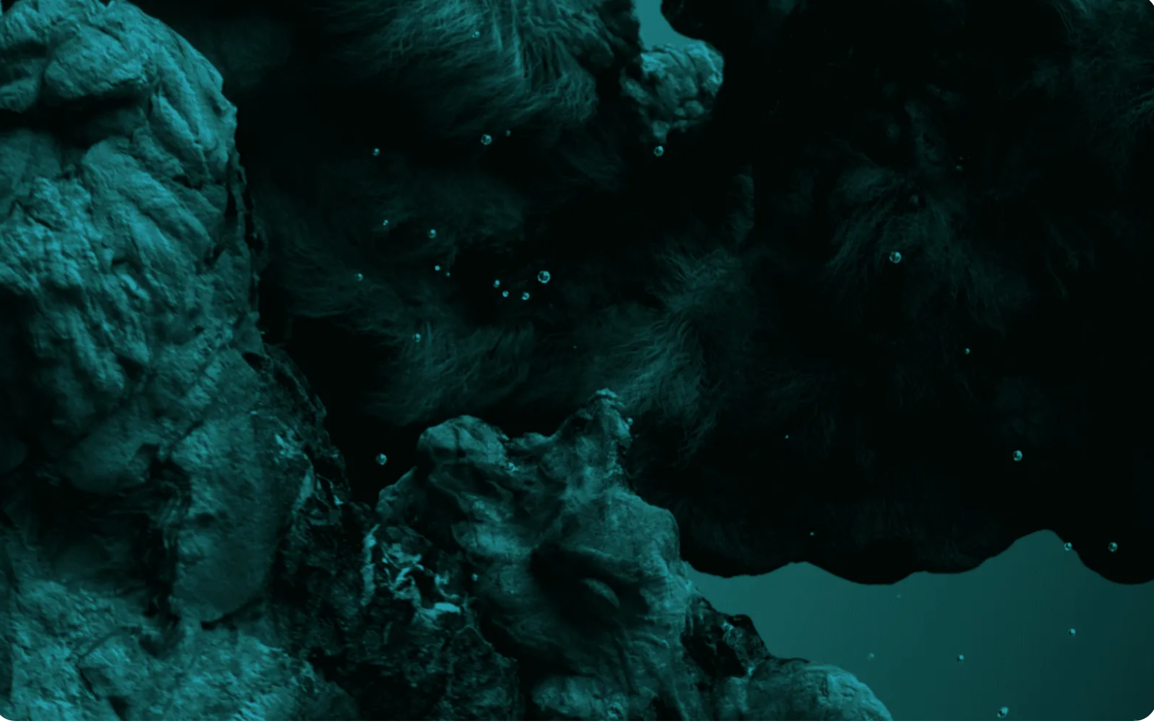 Colour Spotlight SS26 - WSGN Transformative Teal