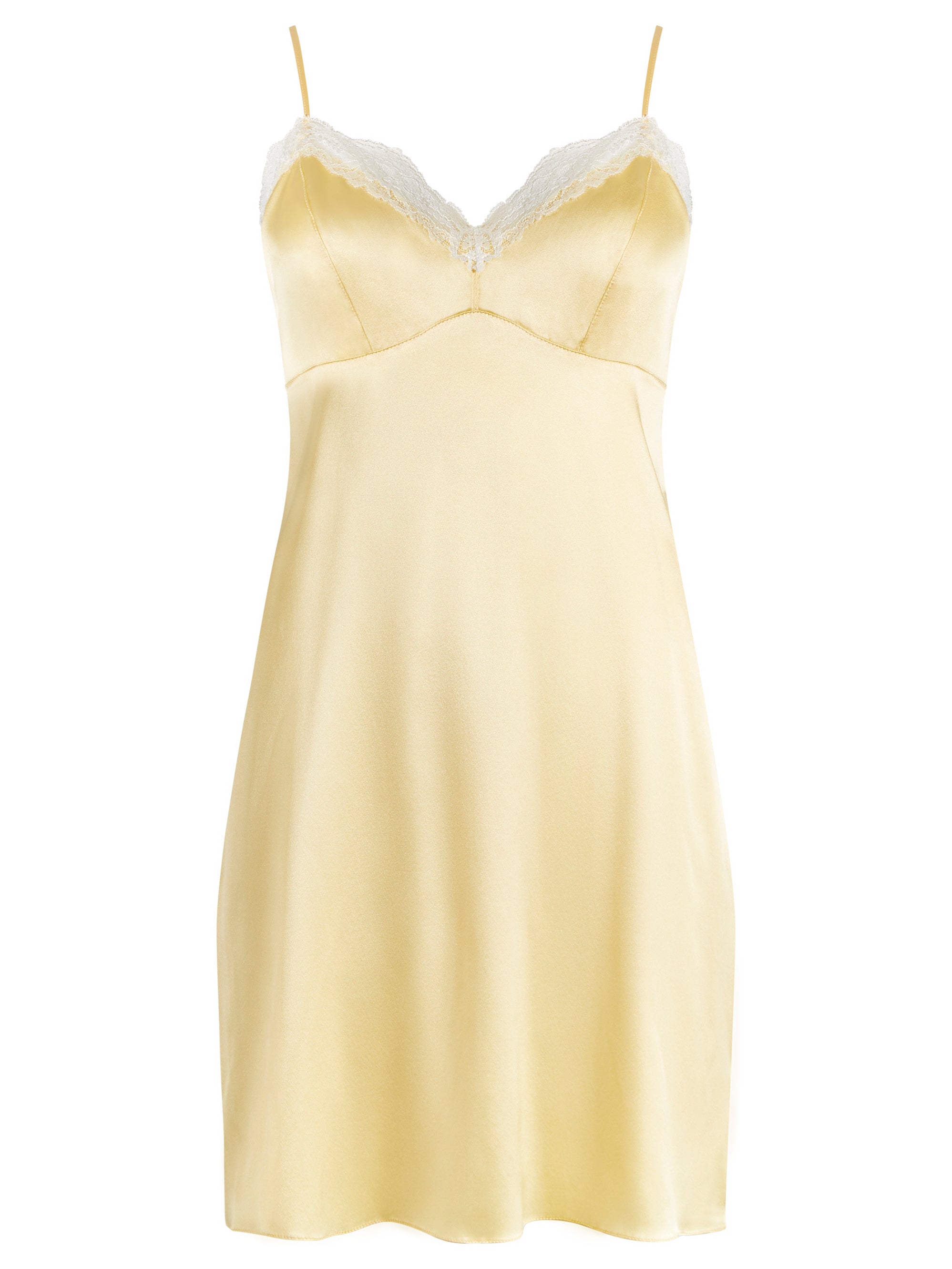 Sophia Silk Chemise Slip Dress